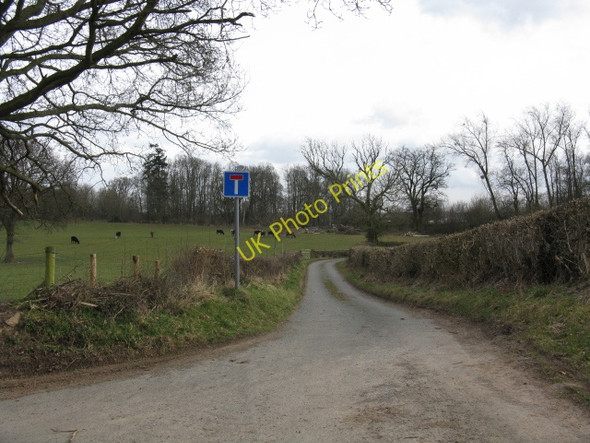 Photo 6"x4" Lane To Burnt House Ashford Bowdler c2010