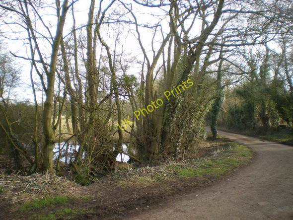 Photo 6"x4" A small pond beside the track Perton\/SO8699 c2010