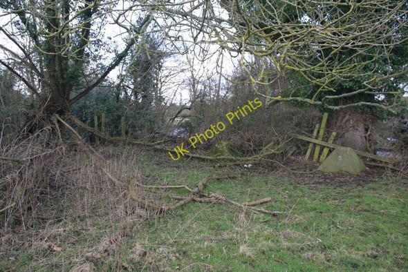 Photo 6"x4" End of the ditch Sulham c2010