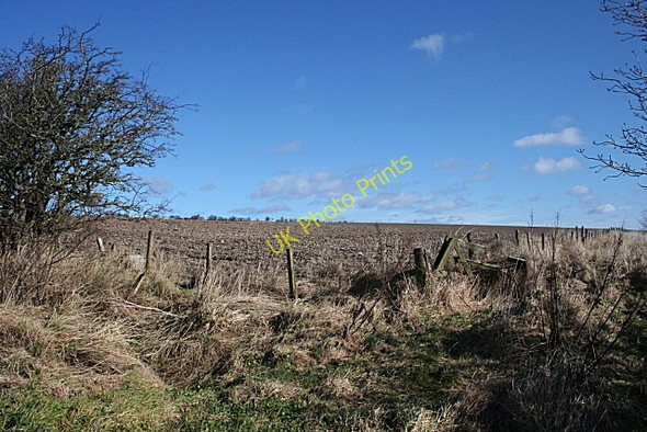 Photo 6"x4" Ploughed Field Cullen\/NJ5167 c2010