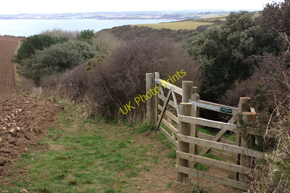 Photo 6"x4" Footpath to Tregagle's Hole Carne\/SW9138 c2010