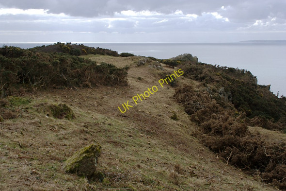 Photo 6"x4" Cleared Gorse on Nare Head Carne\/SW9138 c2010