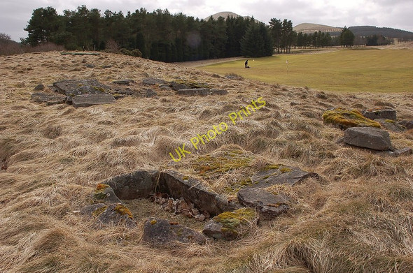 Photo 6"x4" Relocated Bronze Age burial stones West Linton c2010