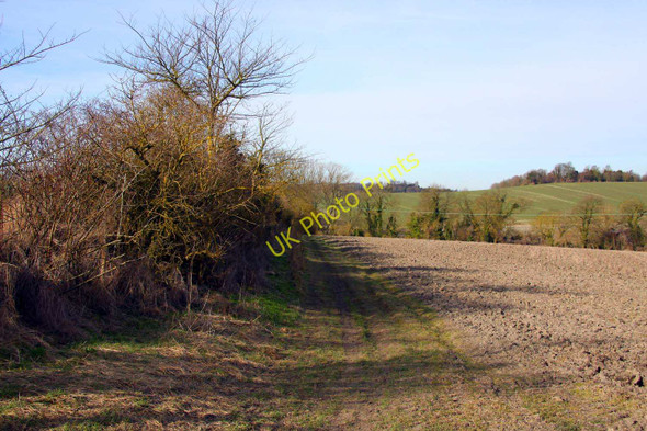 Photo 6"x4" Footpath by the hedgerow East Ginge c2010