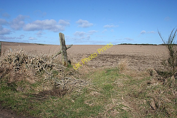 Photo 6"x4" Near Kilnhillock Cullen\/NJ5167 c2010