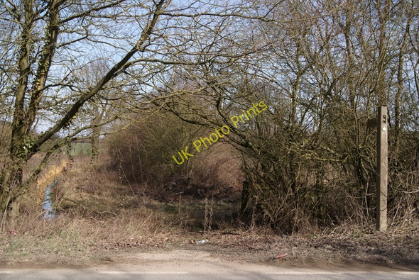 Photo 6"x4" Public footpath Chapel End\/TL5624 c2010