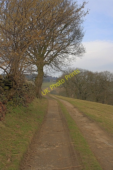 Photo 6"x4" Track from Lower Locker Farm Wheat Beck c2010