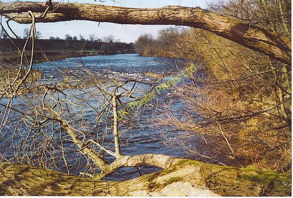 Photo 6"x4" Undercut Riverbank at Brompton-on-Swale. Brompton-on-Swale c2006