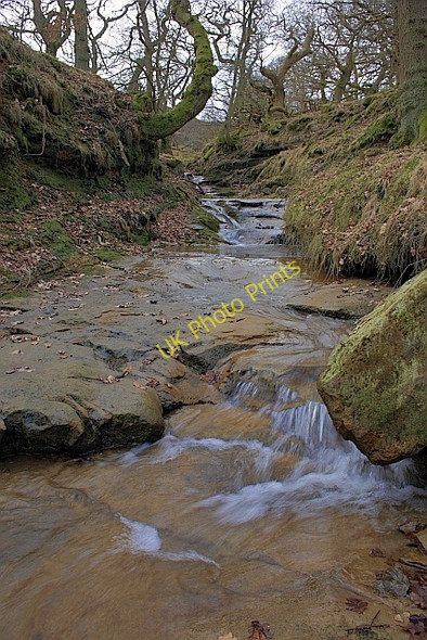 Photo 6"x4" Locker Beck Far Pasture Wood c2010