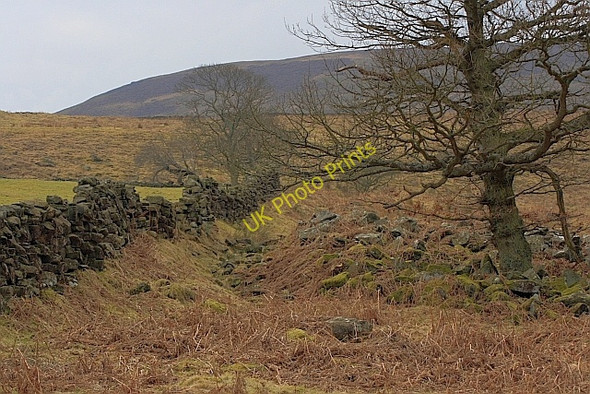 Photo 6"x4" Wall, Black Intake Hagg House Fm\/SE5293 c2010