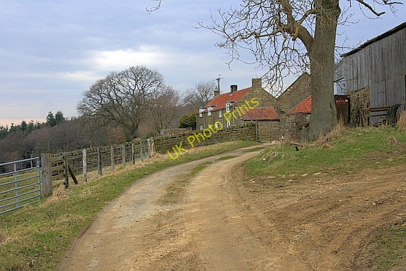 Photo 6"x4" Street-gate Farm Hagg House Fm\/SE5293 c2010