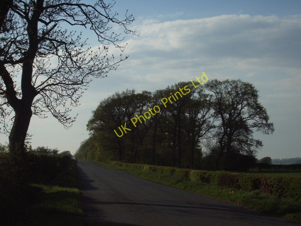 Photo 6"x4" Morton Belts Morton\/NY4439 c2006