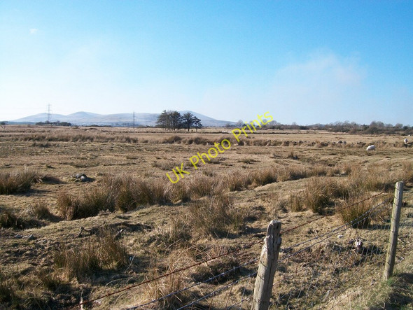 Photo 6"x4" View north-westwards from the Rhoslan road across sheep grazing land Dolbenmaen c2010