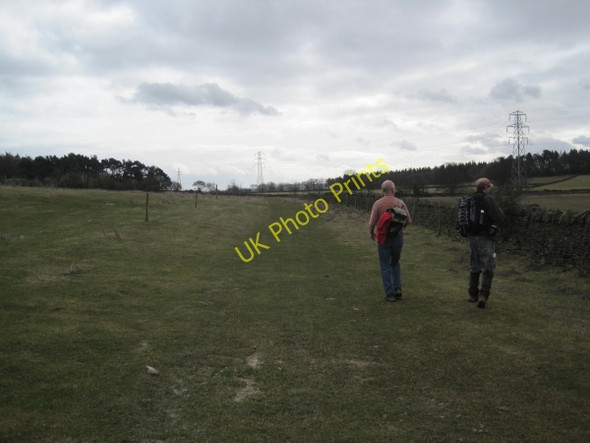 Photo 6"x4" Footpath near West Farm Dilston c2010