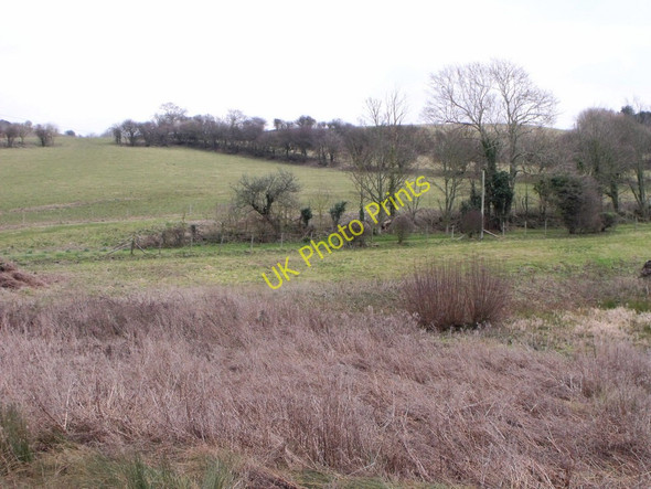 Photo 6"x4" Looking towards Mersley Down, Isle of Wight Arreton c2010
