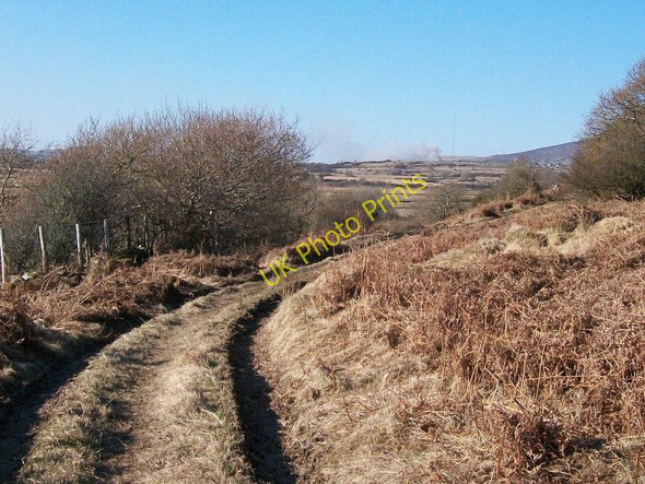Photo 6"x4" Farm track near Ystumcegid farmhouse Dolbenmaen c2008