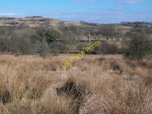 Photo 6"x4" Path across marshy ground down to the footbridge over Afon Dwyfor Rhoslan c2010