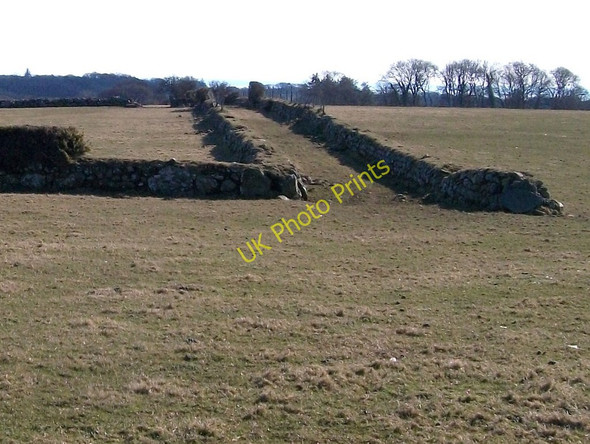 Photo 6"x4" The northern end of the green lane from Cefn-isa Rhoslan c2010