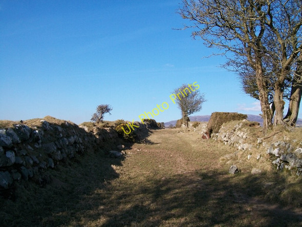 Photo 6"x4" View north along the Cefn-isa green lane Criccieth c2010