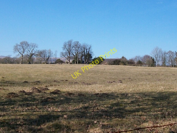 Photo 6"x4" View across farmland towards Ynys-heli Rhoslan c2010