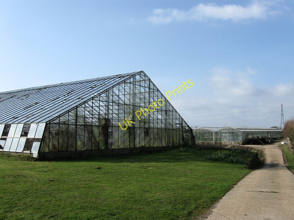 Photo 6"x4" Hankham Nurseries Mill Hill\/TQ6205 c2010