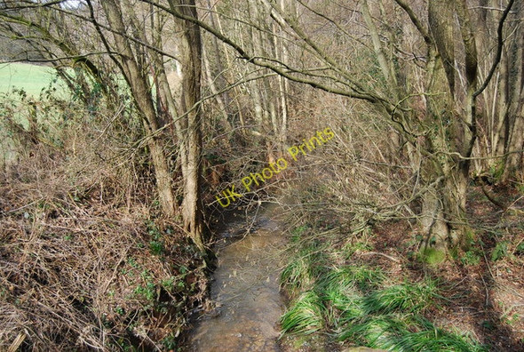 Photo 6"x4" Stream by Roger's Rough Rd Bedgebury Cross c2010