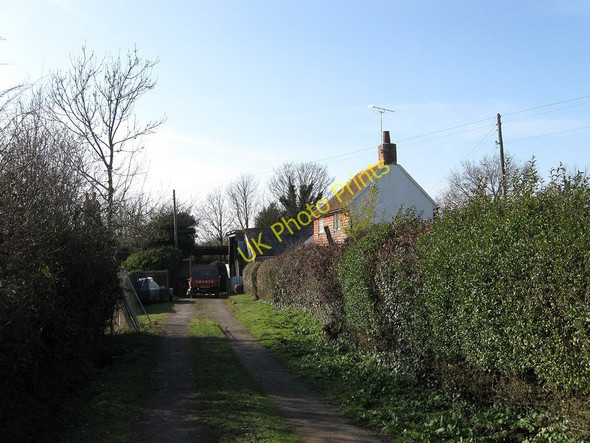 Photo 6"x4" Rose Cottage Hankham c2010