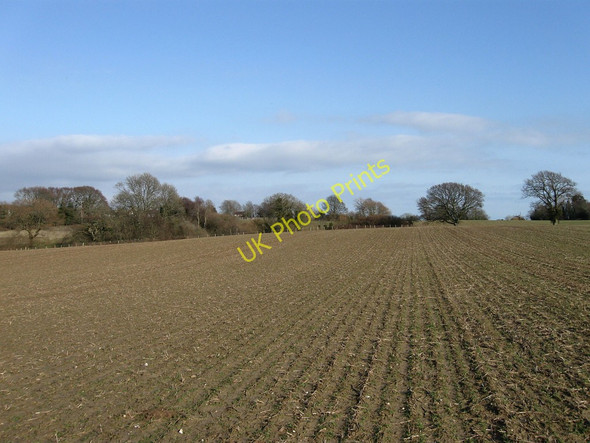 Photo 6"x4" Barn Field Meadow Hankham c2010
