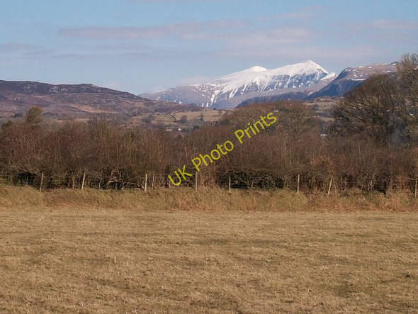 Photo 6"x4" Farmland and woodland at Ynys Rhoslan c2010