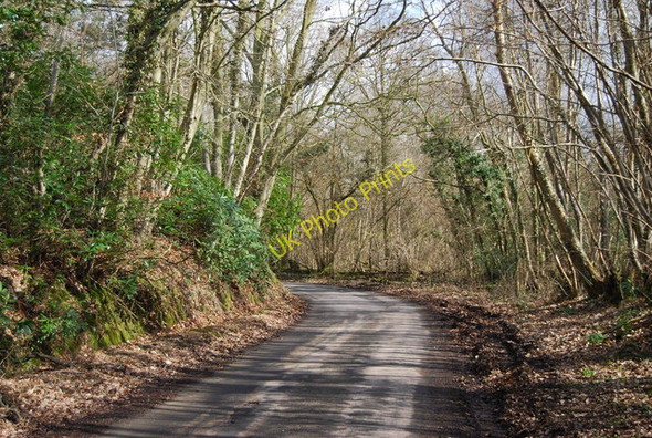 Photo 6"x4" Bend in Roger's Rough Rd, Park Wood Bedgebury Cross c2010