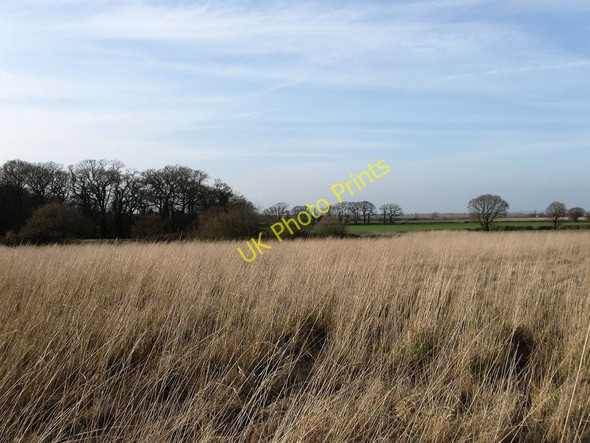 Photo 6"x4" Buck Plot Dittons c2010