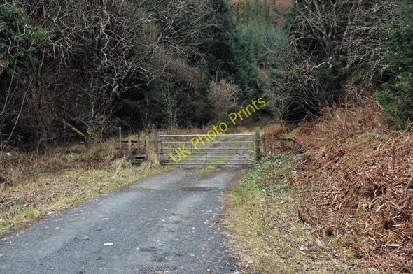 Photo 6"x4" Forest track near Corran Inchree c2010