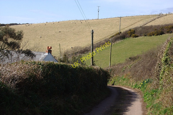 Photo 6"x4" The Road Through Hollowcombe Bickerton\/SX8138 c2010