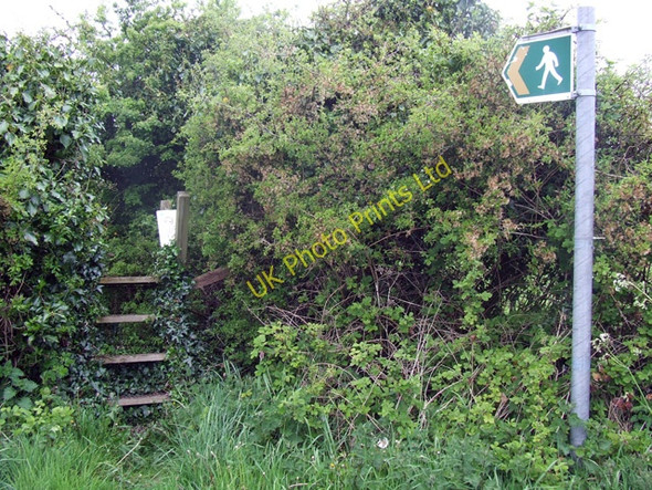 Photo 6"x4" Overgrown stile Llansadwrn\/SH5676 c2006