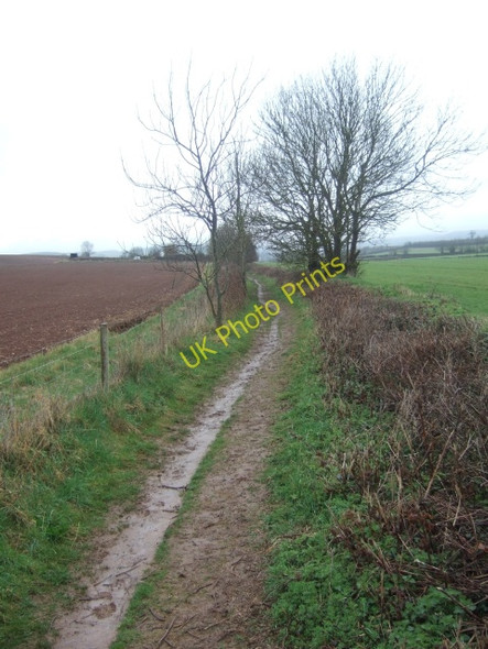 Photo 6"x4" Footpath leading off SW Coast Path North Star c2010