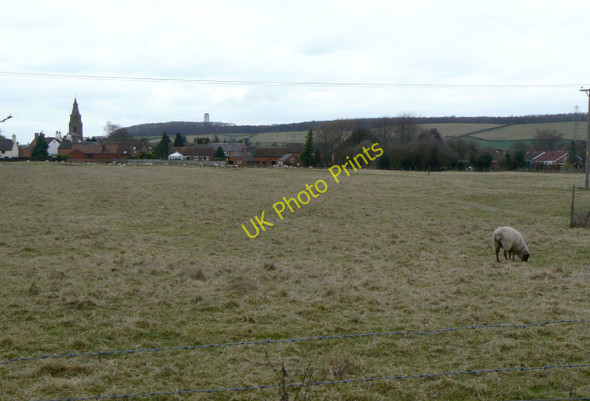 Photo 6"x4" Field near Gotham Gotham\/SK5330 c2010