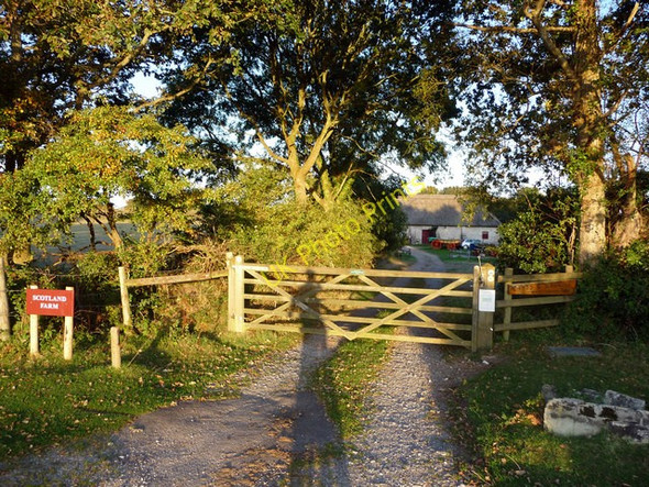 Photo 6"x4" Scotland Farm Bushey\/SY9883 c2009