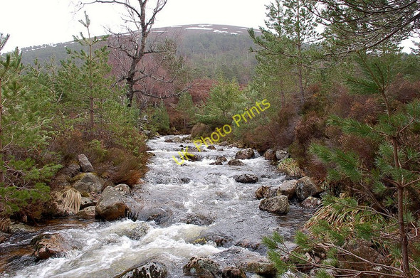 Photo 6"x4" Allt a Mharcaidh Feshiebridge c2010