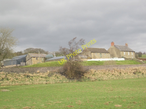 Photo 6"x4" Woodhall Farm Melkridge c2010