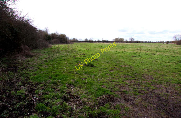 Photo 6"x4" The Thames Path crosses a field Cricklade c2010