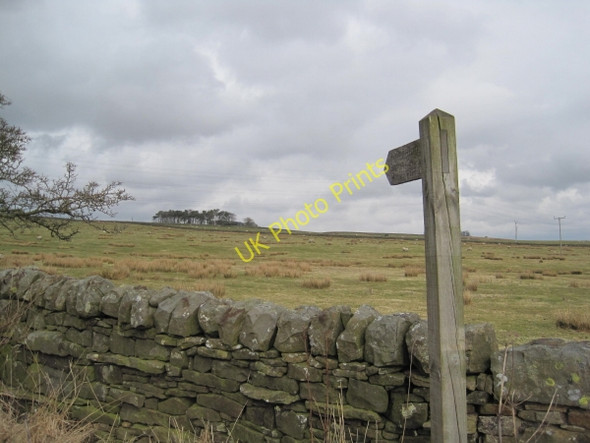 Photo 6"x4" Footpath Sign for Bayldon Melkridge c2010