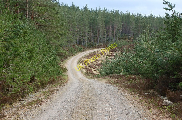 Photo 6"x4" Forest track, Inshriach Feshiebridge c2010