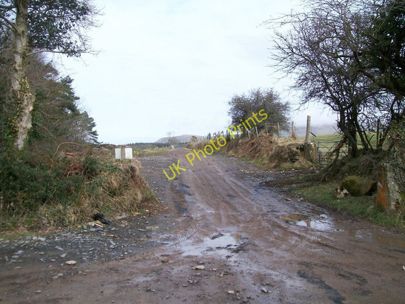 Photo 6"x4" Track north to farmland and forest Llanaelhaearn c2010