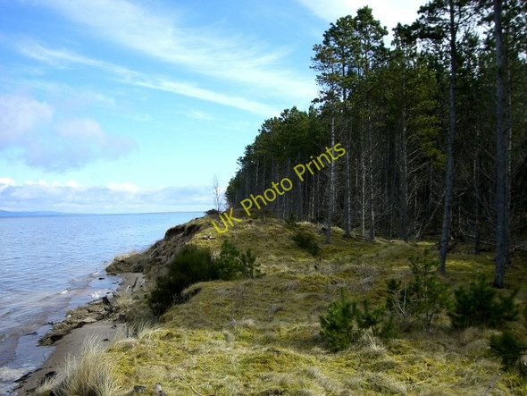 Photo 6"x4" Shore path entering the forestry plantation Tain\/NH7881 c2010