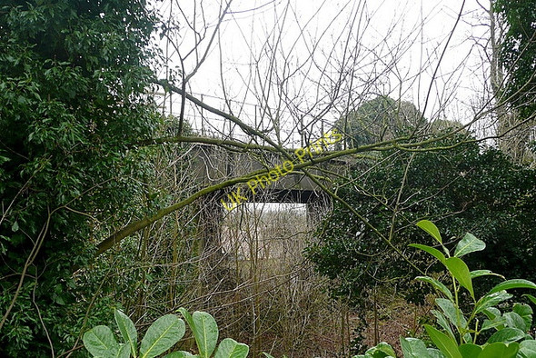 Photo 6"x4" Former railway line Headbourne Worthy c2010