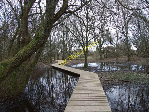 Photo 6"x4" Leigh Common, Wimborne Wimborne Minster c2010
