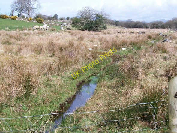 Photo 6"x4" Boggy ground between Cae-du and Ynysleci Llanarmon c2010