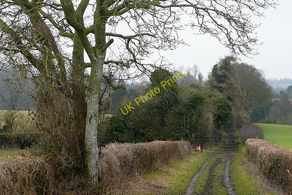 Photo 6"x4" Bridleway towards Wonston Wonston\/SU4739 c2010