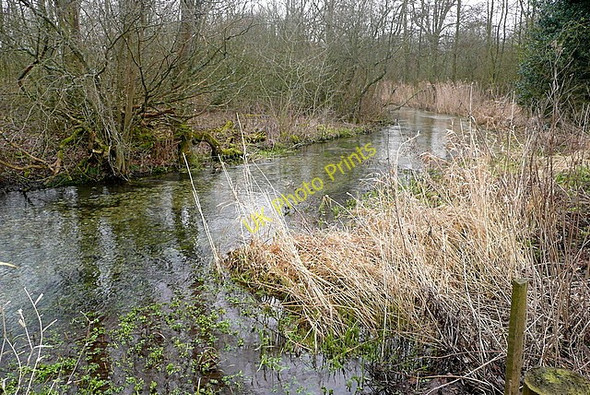 Photo 6"x4" River Dever Wonston\/SU4739 c2010