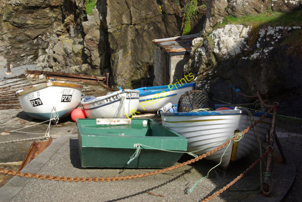 Photo 6"x4" Polpeor Cove Lizard c2010 P2